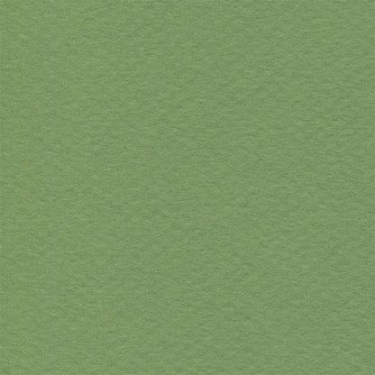 Papel Canson Mi-Teintes 160gr 50x65cm