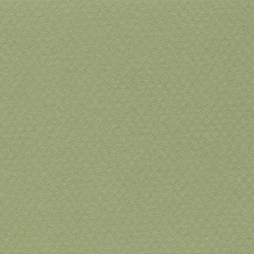 Papel Canson Mi-Teintes 160gr 50x65cm