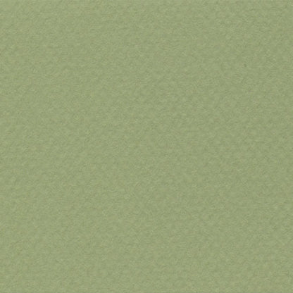 Papel Canson Mi-Teintes 160gr 50x65cm