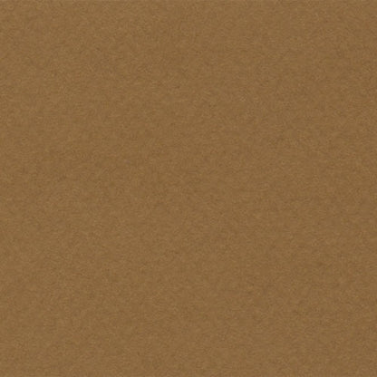 Papel Canson Mi-Teintes 160gr 50x65cm