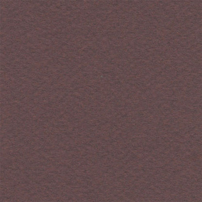 Papel Canson Mi-Teintes 160gr 50x65cm