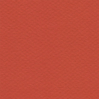 Papel Canson Mi-Teintes 160gr 50x65cm