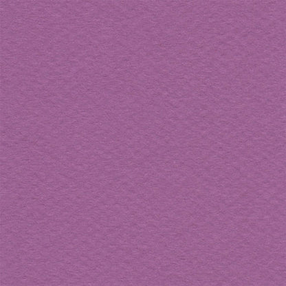 Papel Canson Mi-Teintes 160gr 50x65cm