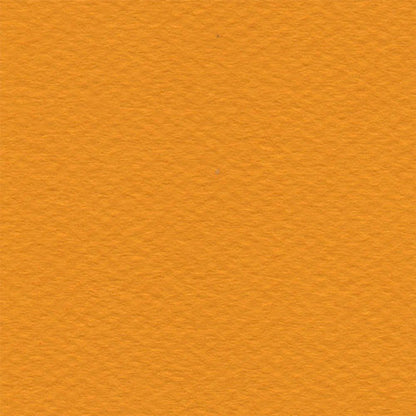 Papel Canson Mi-Teintes 160gr 50x65cm